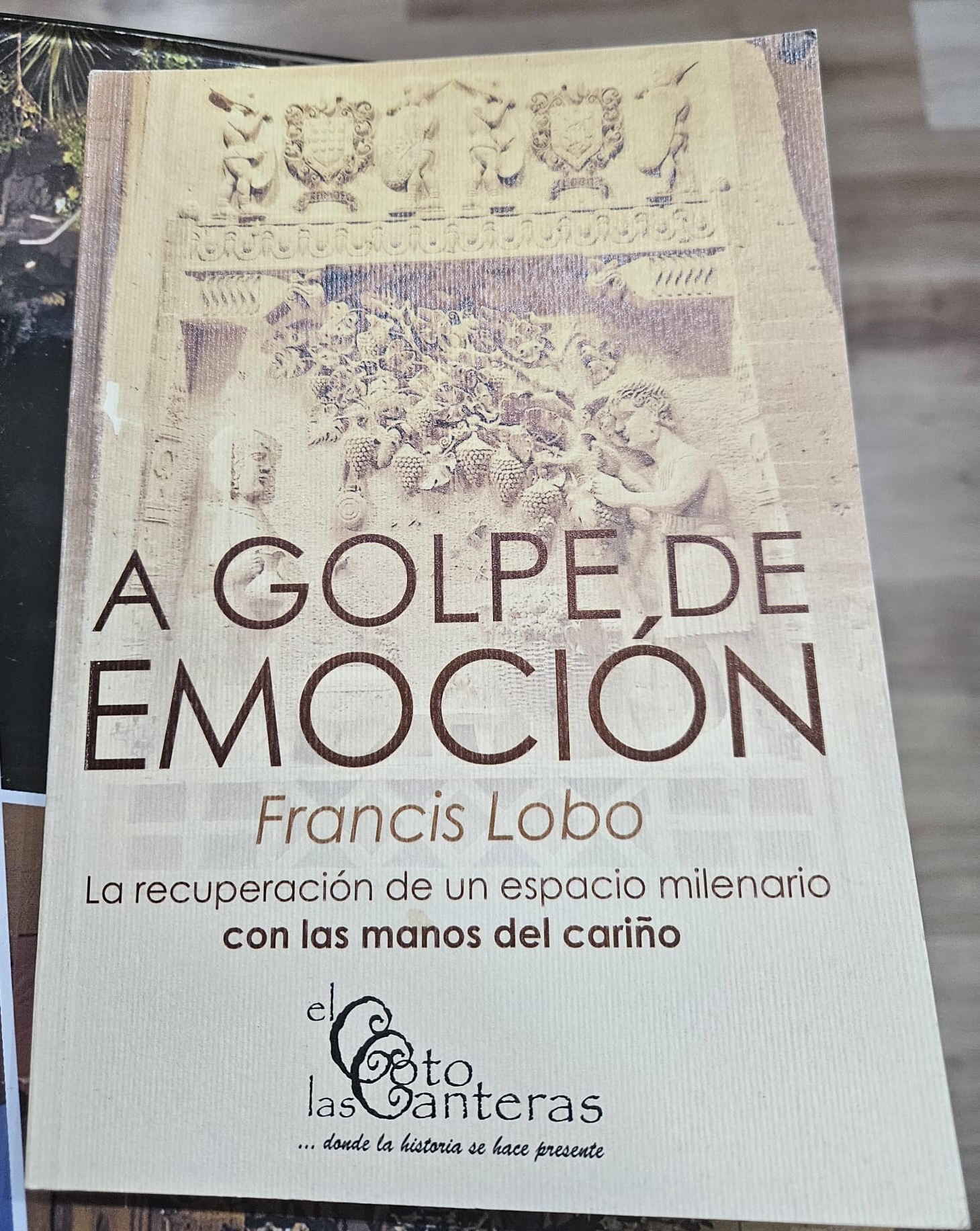 Portada del libro Con las manos del cariño